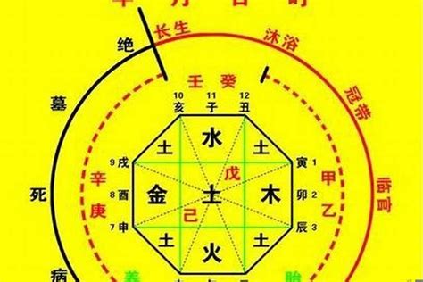 喜用神木火|八字喜用神为木火：五行旺衰与生活决策指南